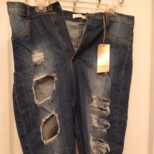 Aphrodite distressed jean shorts